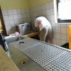 Sommerfest2017 (8)